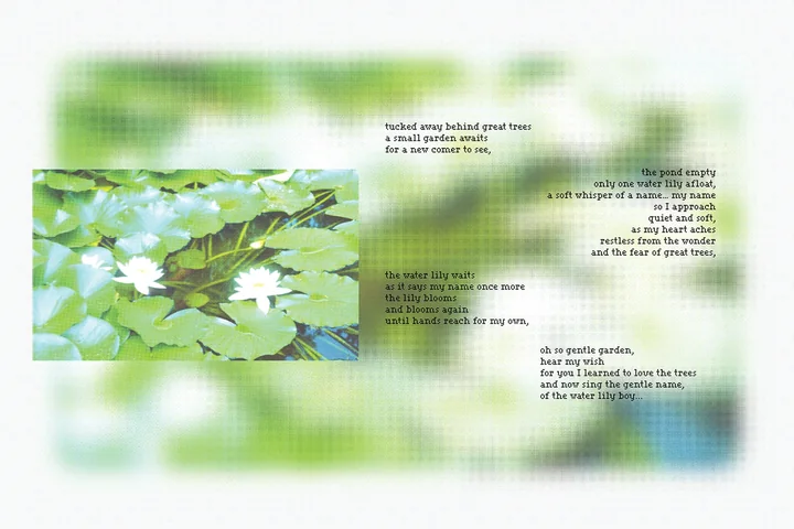 gentle garden by Toni